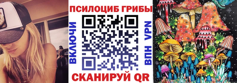 МЕГА ССЫЛКА Североморск маркетплейс какой сайт Галлюциногенные грибы Psilocybine cubensis